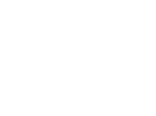 S.E.R. Cliente